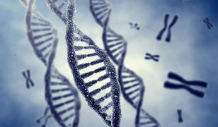 FOTO! 5 SPECII BIZARE, create de om prin mutaţii genetice