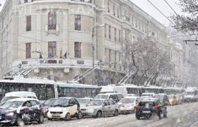 Ninsoarea din Bucureşti a făcut ravagii! Peste 130 de copaci au fost doborâţi de vânt şi 65 de maşini au fost avariate