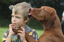 VIDEO SENZAȚIONAL! El este cel mai VORBĂREȚ câine!