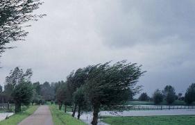 VREMEA se menţine rece luni şi marţi. Prognoza meteo