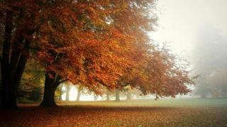 Cum va fi vremea la început de weekend