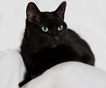 Românii sunt „regii” superstițiilor!