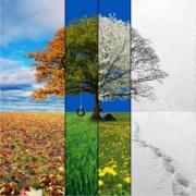 Ai visat că este primăvară? Ce înseamnă VISELE despre anotimpuri