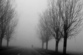 Cod Galben de ceață în București și în alte 14 județe