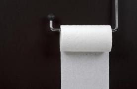 Cum a funcționat omenirea până la hârtia igienică