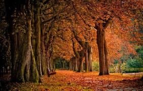 PROGNOZA METEO pentru weekend