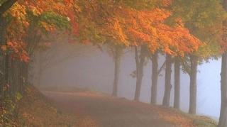 COD GALBEN de ceaţă! Zonele afectate