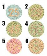 Testul care a ÎNNEBUNIT ROMÂNIA! Tu ce vezi în cercul 5?