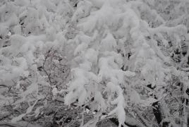 Cum va fi VREMEA de sărbători. Prognoza meteo până pe 28 decembrie