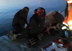 Raed Arafat: „Doamna doctor  A MURIT!”