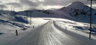 COD GALBEN de polei pentru nouă județe