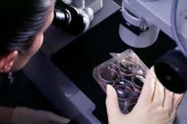 Biologii sunt ULUIŢI! Au descoperit un animal care trăieşte 1.400 de ani