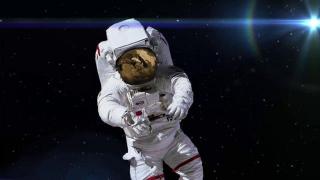 Primele zboruri comerciale în spaţiu se fac în 2014! Un bilet costă 250.000 de dolari