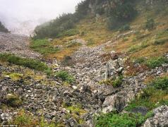 FOTO! Recunoşti lunetistul? Tehnici uimitoare de camuflaj