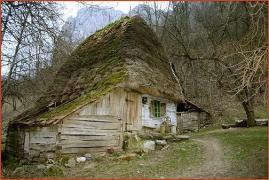 INCREDIBIL! Zona care se stinge. În clasa întâi sunt doar patru elevi