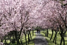 Se încălzeşte sau nu?! Iată cum va fi vremea în următoarele două săptămâni