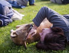 S-a decis! Câinii nu mai au voie pe stradă fără stăpân!