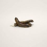 Cele mai ciudate obiecte reţinute în aeroport: cadavre, organe genitale sau cârnaţi de cal!