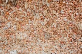 Ce a făcut o artistă cu păpuşile Barbie pe plajă este spectaculos