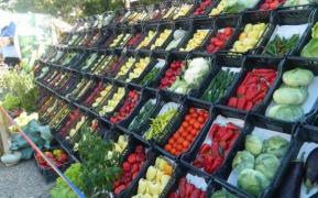 ALERTĂ! Mâncăm fructe şi legume bolnave de CANCER şi VIROZE