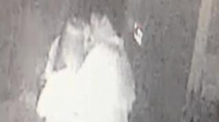 Ce se întâmplă pe holurile Congresului American. Nimeni nu îşi închipuia că e posibil