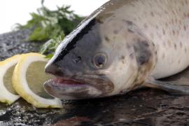 Topul peştilor cu cel mai mult mercur! Iată cum îţi afectează sănătatea