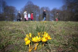 Cum va fi vremea joi şi vineri!