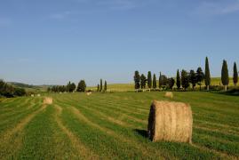 S-a descoperit în România şi poate revoluţiona întreaga istorie! "E veche de 5.000 de ani"