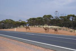 BBC: Top trasee periculoase din lume! România se află pe locul al treilea