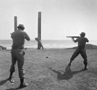 Vrea să reintroducă plutonul de execuţie pentru uciderea condamnaţilor la moarte!