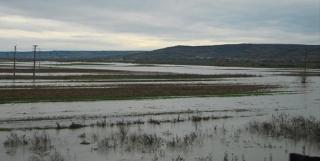 ALERTĂ de INUNDAŢII pe Dunăre. AU CEDAT digurile!