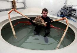 FOTO! Cele mai CIUDATE animale din lume de care nu ştiai