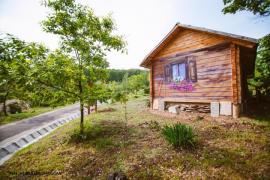 Inedit! România are un parc cu arbori de POVESTE