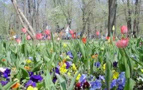 Apare soarele?! Prognoza meteo pentru finalul săptămânii