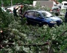 Târgovişte: POTOPUL s-a abătut asupra oraşului! Străzi inundate, copaci doborâţi de vânt