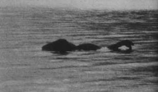 Monstrul din Loch Ness e mic copil! Iată creatura care a înfricoşat o ţară întreagă