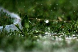 Nu scăpăm de PLOI! Prognoza meteo pe următoarele zile