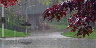 Veste REA! Meteorologii anunţă PLOI TORENŢIALE în toată ŢARA