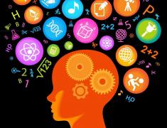 Iată lucrurile care te fac mai inteligent. Activităţile de zi cu zi îţi pot îmbunătăţi memoria