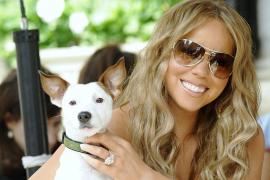 Fițe de vedetă! Mariah Carey și-a trimis CĂȚEII în vacanță!
