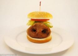 ȘOCANT! Nu o să-ți vină să crezi ce se găsește în șuncă sau chicken nuggets!