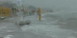 Cod galben de furtună