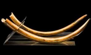 Descoperire INCREDIBILĂ în România! "E visul oricărui arheolog"