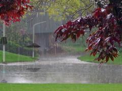AVERTIZARE de ploi torenţiale! Zonele vizate