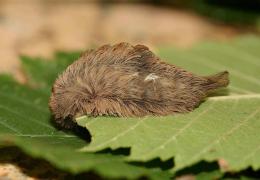 COȘMARUL multora a devenit REALITATE! E mai RĂU decât te AȘTEPTAI!