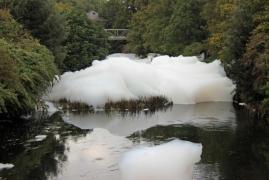 HORROR! APARIŢIA care a speriat un ORAŞ ÎNTREG!