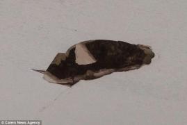 Uite ce le-a CĂZUT din TAVAN! TOŢI au RĂMAS MASCĂ!