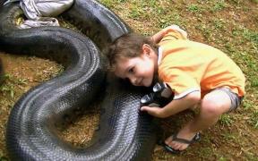 Șocant! Copilul care îmblânzește monștrii!