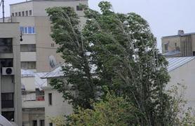 COD GALBEN de VÂNT PUTERNIC! Judeţele afectate