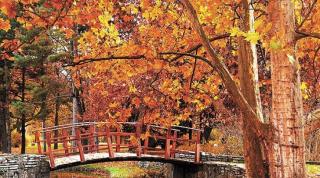 Vremea se încălzeşte!